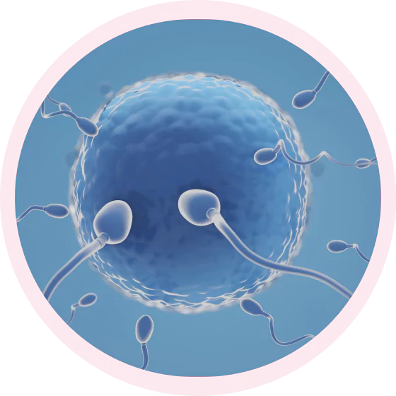 best fertility centre in Kurnool